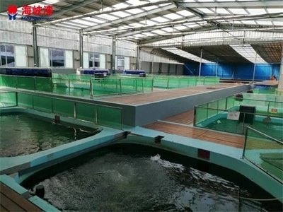 養(yǎng)殖漆保護水泥池壁不受水體的侵蝕